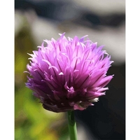 DIY Painting By Numbers Modern Wall Art Picture By Numbers Paint By Numbers For Home Decor w9253