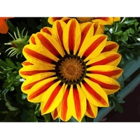 DIY Painting By Numbers Modern Wall Art Picture By Numbers Paint By Numbers For Home Decor w9254