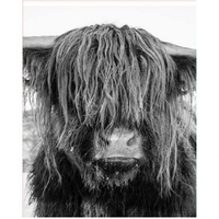 DIY Painting By Numbers Modern Wall Art Picture By Numbers Paint By Numbers For Home Decor w9255