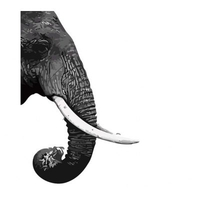 DIY Painting By Numbers Modern Wall Art Picture By Numbers Paint By Numbers For Home Decor w9256