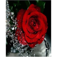 DIY Painting By Numbers Modern Wall Art Picture By Numbers Paint By Numbers For Home Decor w9257