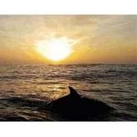 DIY Painting By Numbers Modern Wall Art Picture By Numbers Paint By Numbers For Home Decor w9259