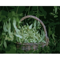 DIY Painting By Numbers Modern Wall Art Picture By Numbers Paint By Numbers For Home Decor w9260