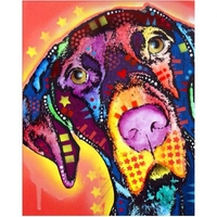 DIY Painting By Numbers Modern Wall Art Picture By Numbers Paint By Numbers For Home Decor w9261