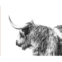 DIY Painting By Numbers Modern Wall Art Picture By Numbers Paint By Numbers For Home Decor w9262