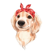 DIY Painting By Numbers Modern Wall Art Picture By Numbers Paint By Numbers For Home Decor w9262