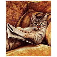 DIY Painting By Numbers Modern Wall Art Picture By Numbers Paint By Numbers For Home Decor w9263