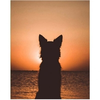 DIY Painting By Numbers Modern Wall Art Picture By Numbers Paint By Numbers For Home Decor w9265