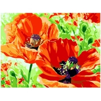 DIY Painting By Numbers Modern Wall Art Picture By Numbers Paint By Numbers For Home Decor w9266