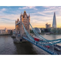 DIY Painting By Numbers Modern Wall Art Picture By Numbers Paint By Numbers For Home Decor w9267