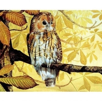 DIY Painting By Numbers Modern Wall Art Picture By Numbers Paint By Numbers For Home Decor w9268