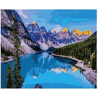 DIY Painting By Numbers Modern Wall Art Picture By Numbers Paint By Numbers For Home Decor w9270