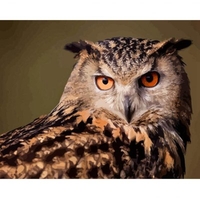 DIY Painting By Numbers Modern Wall Art Picture By Numbers Paint By Numbers For Home Decor w9270