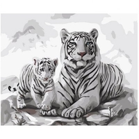 DIY Painting By Numbers Modern Wall Art Picture By Numbers Paint By Numbers For Home Decor w9271