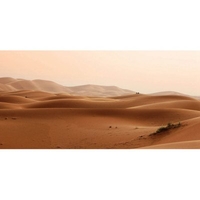 DIY Painting By Numbers Modern Wall Art Picture By Numbers Paint By Numbers For Home Decor w9271