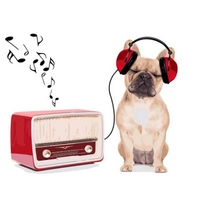 DIY Painting By Numbers Modern Wall Art Picture By Numbers Paint By Numbers For Home Decor w9272