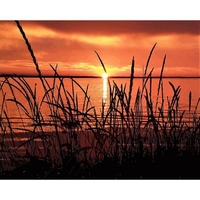 DIY Painting By Numbers Modern Wall Art Picture By Numbers Paint By Numbers For Home Decor w9272