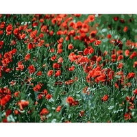 DIY Painting By Numbers Modern Wall Art Picture By Numbers Paint By Numbers For Home Decor w9273