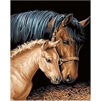 DIY Painting By Numbers Modern Wall Art Picture By Numbers Paint By Numbers For Home Decor w9275