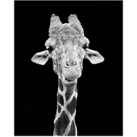 DIY Painting By Numbers Modern Wall Art Picture By Numbers Paint By Numbers For Home Decor w9277