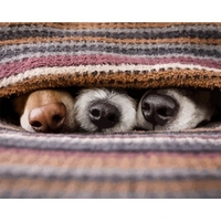 DIY Painting By Numbers Modern Wall Art Picture By Numbers Paint By Numbers For Home Decor w9277