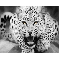 DIY Painting By Numbers Modern Wall Art Picture By Numbers Paint By Numbers For Home Decor w9277