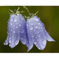 DIY Painting By Numbers Modern Wall Art Picture By Numbers Paint By Numbers For Home Decor w9279