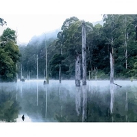 DIY Painting By Numbers Modern Wall Art Picture By Numbers Paint By Numbers For Home Decor w9280