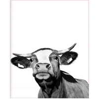 DIY Painting By Numbers Modern Wall Art Picture By Numbers Paint By Numbers For Home Decor w9280