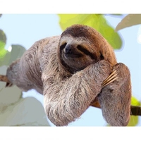 DIY Painting By Numbers Modern Wall Art Picture By Numbers Paint By Numbers For Home Decor w9282