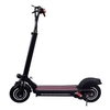 Lamtwheel Dual Drive Motor Folding Electric Scooter 10Inch for Adults Urban 1200W 48V 45KM/H with 45KM Milage
