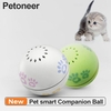 Petoneer Pet Smart Companion Ball Cat Toy Built-in Catnip Box Irregular Scrolling Funny Cat Artifact Smart Pet Toy Pet Ball From Xiaomi Youpin