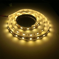 ZDM 5V 5050 100 / 200CM Waterproof USB LED Light Strip DC5V