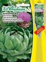 Artischocke Vert de Provence