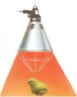 Aufzuchtlampe mit Schutzkorb