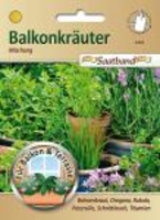 Balkonkräuter Mischung