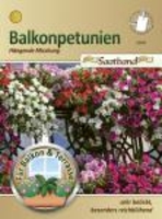 Balkonpetunien