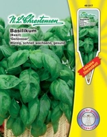 Basilikum - Genoveser