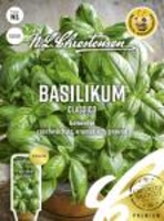 Basilikum Classico
