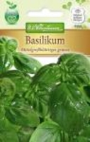 Basilikum Mittelgroßblättriges grünes