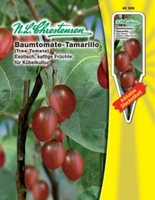 Baumtomate Tamarillo (Cyphomandra bet.)