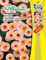 Calendula Pink Surprise