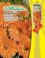 Calendula Ringelblume Orange King