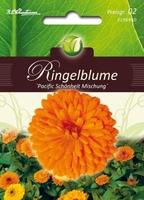 Calendula Ringelblume Pacifik Mischung