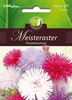 Callistephus - Meisteraster - Prachtmischung