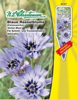 Cantananche caerulea Blaue Rasselbl.