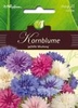 Centaurea Kornblumen gefüllte Mischung