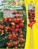 Cherrytomate Micro Cherry