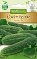 Cocktailgurke Picolino F1