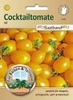 Cocktailtomate